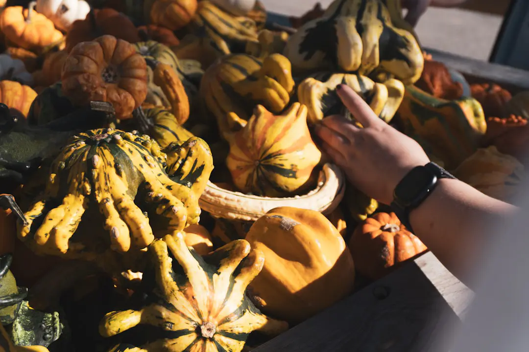 découvrez les délices des fruits de saison, riches en saveurs et en nutriments. apprenez à les choisir, les préparer et les intégrer dans vos plats pour une alimentation saine et variée. savourez la fraîcheur des produits locaux et profitez des bienfaits des fruits de saison tout au long de l'année.