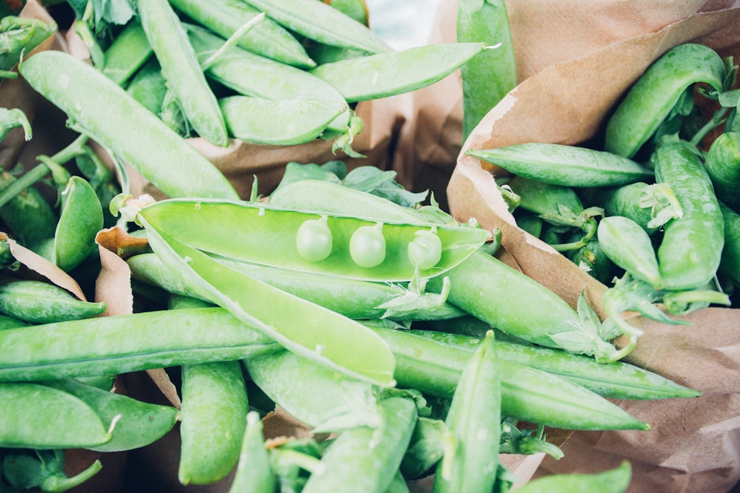 découvrez les enjeux du gaspillage alimentaire, ses impacts sur notre planète et les solutions pour réduire ce fléau au quotidien. adoptez des gestes simples pour économiser, préserver l'environnement et soutenir une consommation responsable.