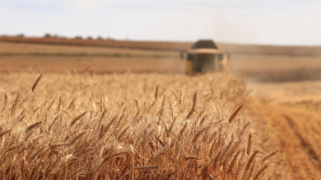 découvrez le monde dynamique de l'agriculture, ses méthodes durables, ses innovations technologiques et son impact sur l'économie et l'environnement. plongez dans les enjeux contemporains et les meilleures pratiques pour un avenir agricole responsable.