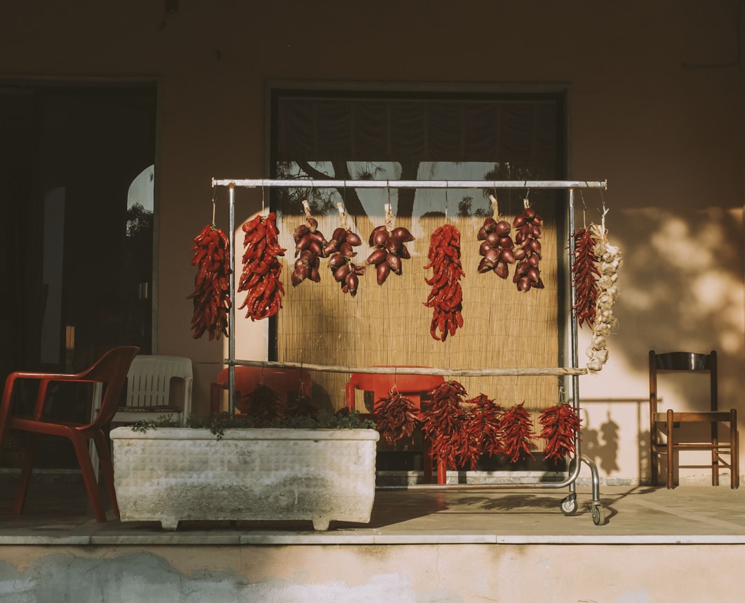 découvrez la richesse de la street food italienne, un voyage savoureux à travers des recettes authentiques comme les arancini, les panzerotti et les gelati, préparés avec passion dans les rues animées d'italie. laissez-vous séduire par des saveurs uniques et des traditions culinaires inoubliables.