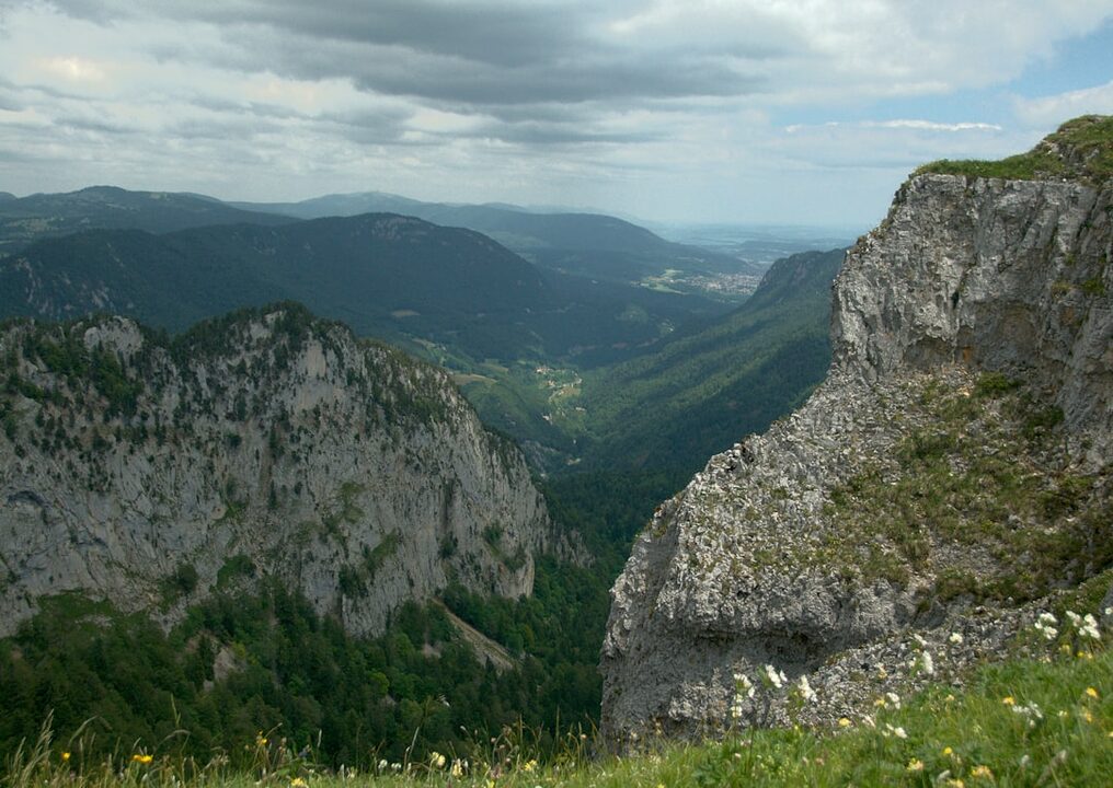 découvrez les spécialités du jura, une région riche en traditions culinaires, offrant des produits locaux d'exception tels que le fromage, le vin et les charcuteries. plongez dans l'authenticité et les saveurs uniques de ce terroir au cœur de la france.