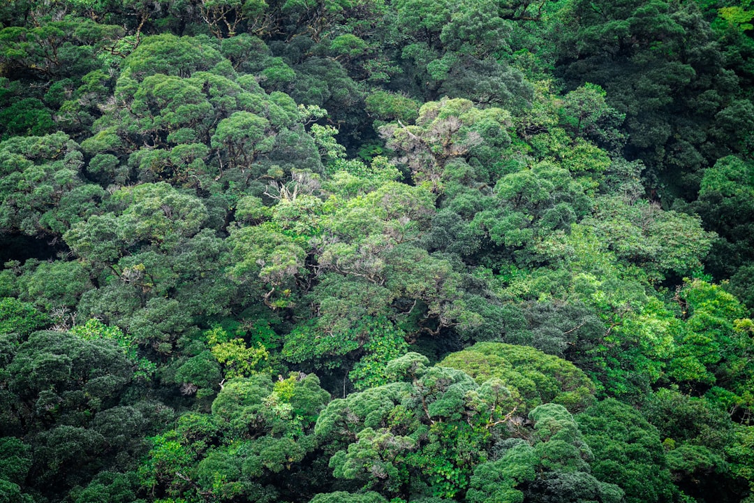 découvrez des trésors cachés à travers le monde : des destinations méconnues, des expériences uniques et des lieux enchanteurs qui émerveilleront les explorateurs en quête d'authenticité. ne manquez pas l'occasion de sortir des sentiers battus et de visiter ces joyaux invisibles.