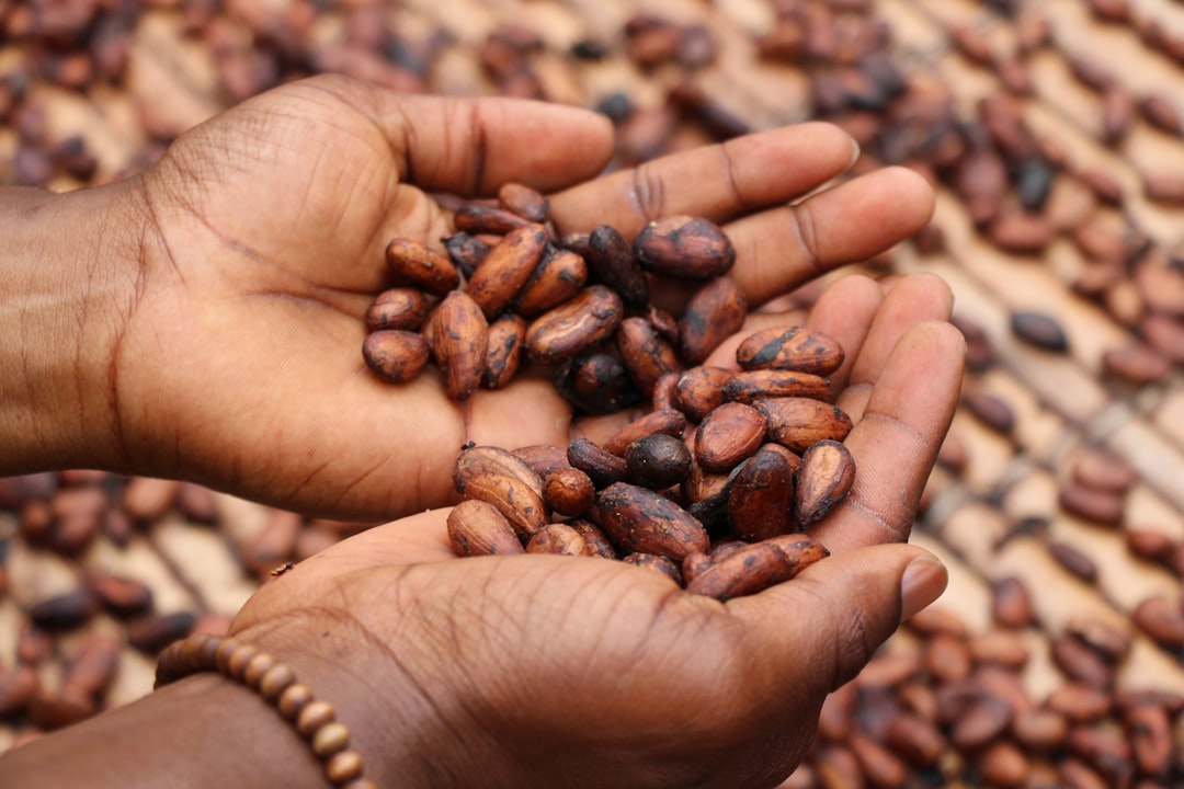 découvrez le monde merveilleux du chocolat : ses origines, ses variétés, et des recettes délicieuses pour satisfaire toutes vos envies sucrées. explorez l'art de la chocolaterie et laissez-vous séduire par ses saveurs envoûtantes.