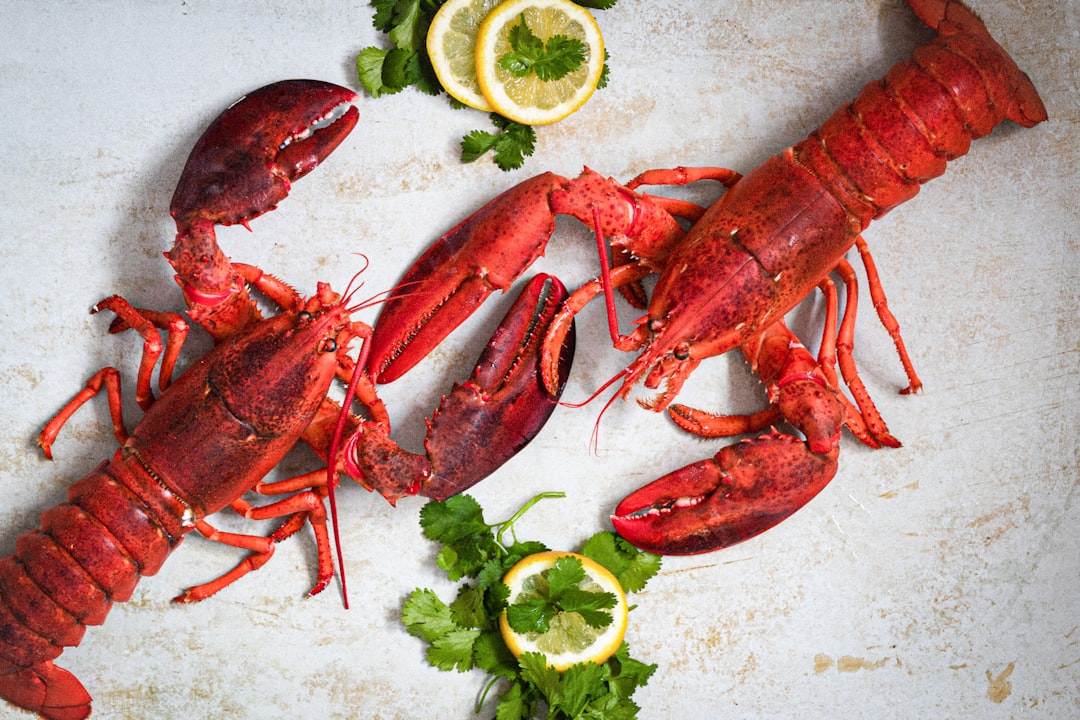 découvrez nos spécialités de fruits de mer, alliant fraîcheur et saveurs maritimes. savourez une sélection exquise de plats préparés à partir des meilleures prises, pour une expérience culinaire inoubliable.