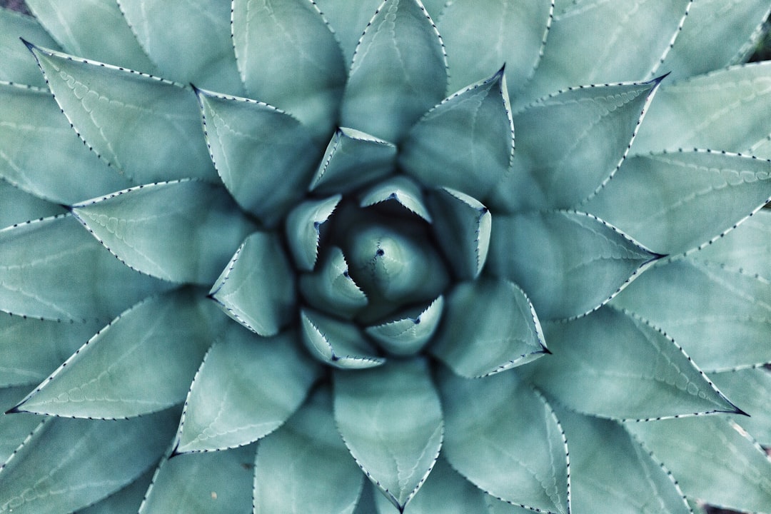 découvrez des conseils et des pratiques pour améliorer votre bien-être au quotidien. explorez des techniques de relaxation, des astuces de santé, et des stratégies pour une vie équilibrée et épanouissante.