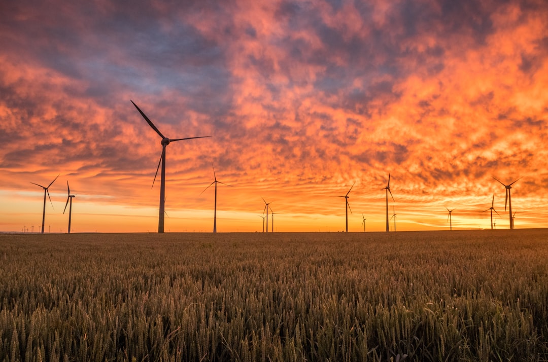découvrez les pratiques de l'agriculture durable, qui allient respect de l'environnement et efficacité économique. apprenez comment ces méthodes innovantes préservent les ressources naturelles tout en garantissant des récoltes de qualité pour les générations futures.