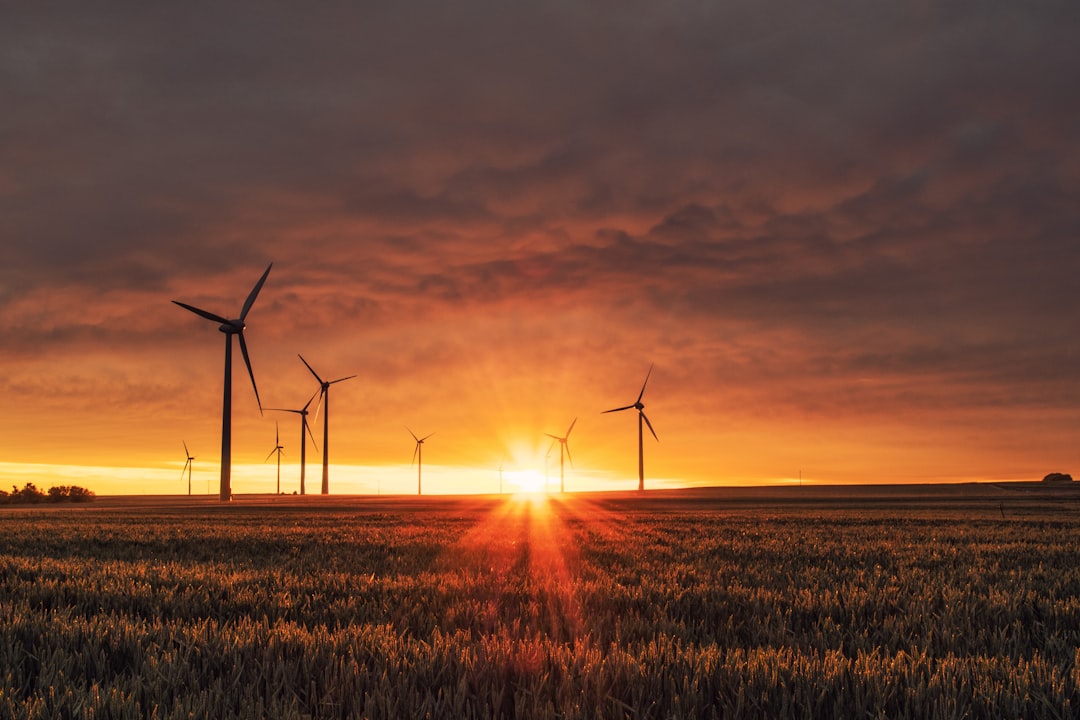 découvrez la gastronomie durable : une approche innovante qui allie respect de l'environnement, saveurs authentiques et produits locaux. sublimez vos repas tout en préservant notre planète.